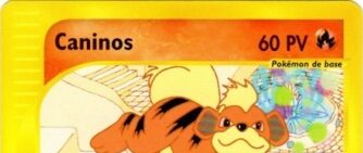 Caninos 51/147 Aquapolis carte Pokemon