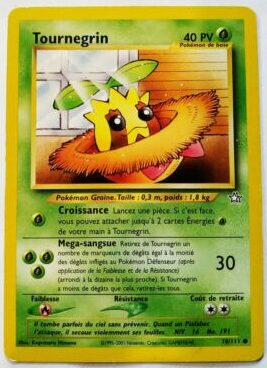 Cartes Pokémon Néo Génésis : Toutes les cartes de la série