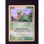 Arcko 75/109 EX Rubis & Saphir carte Pokemon