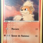 Caninos 64/112 EX Rouge Feu Vert Feuille carte Pokemon