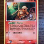 Caninos 65/100 EX Tempête de sable carte Pokemon