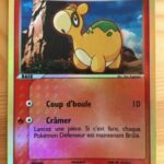 Chamallot 61/109 EX Rubis & Saphir carte Pokemon