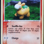 Chamallot 69/97 EX Dragon carte Pokemon