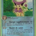 Delcatty 29/109 EX Rubis & Saphir carte Pokemon