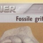 Fossile griffe 90/100 EX Tempête de sable carte Pokemon