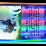 Gobou 65/97 EX Dragon carte Pokemon