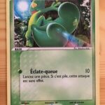 Arcko 70/106 EX Emeraude carte Pokemon