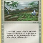 Tempête 85/100 EX Gardiens de Cristal carte Pokemon