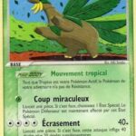 Tropius 27/107 EX Deoxys carte Pokemon