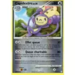 Capidextre 3/123 Diamant et Perle Trésors Mystérieux carte Pokemon