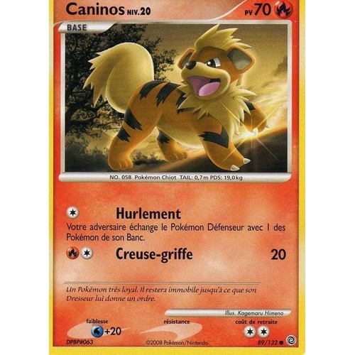 Caninos 89/132 Diamant et Perle Merveilles Secrètes carte Pokemon