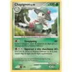 Chapignon 45/132 Diamant et Perle Merveilles Secrètes carte Pokemon