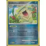 Ludicolo 13/132 Diamant et Perle Merveilles Secrètes carte Pokemon