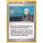 Prof. Sorbier 123/132 Diamant et Perle Merveilles Secrètes carte Pokemon