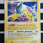 Raikou 16/132 Diamant et Perle Merveilles Secrètes carte Pokemon