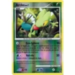 Arcko 90/106 Diamant et Perle Duels au sommet carte Pokemon