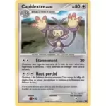 Capidextre 35/100 Diamant et Perle Aube Majestueuse carte Pokemon