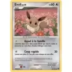 Evoli 62/100 Diamant et Perle Aube Majestueuse carte Pokemon