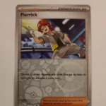 Pierrick 173/182 Faille Paradoxe carte Pokemon