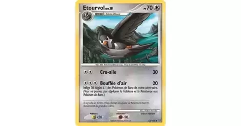 Cartes Pokémon Diamant et Perle Tempête : Toutes les cartes de la série