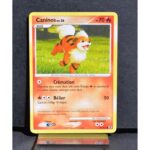 Caninos 63/111 Platine rivaux émergeants carte Pokemon