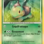 Tortipouss 131/147 Platine vainqueurs supremes carte Pokemon