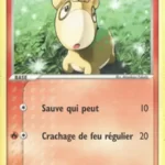 Chamallot 58/106 EX Emeraude carte Pokemon