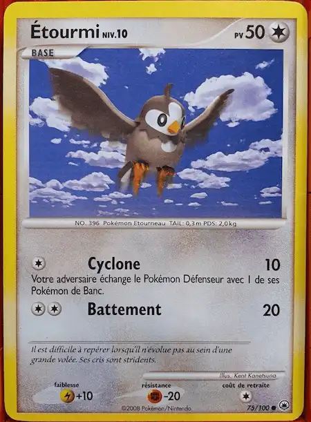 Etourmi 75/100 Diamant et Perle Tempête carte Pokémon