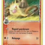 Férosinge 70/110 EX Fantômes Holon carte Pokemon