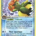 Joliflor 19/110 EX Fantômes Holon carte Pokemon