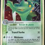 Jungko 10/106 EX Emeraude carte Pokemon