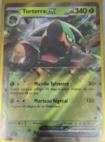 Torterra ex 012/162 Forces Temporelles EV05