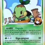 Tortipouss Gym Leader 85/111 Platine rivaux émergeants carte Pokemon