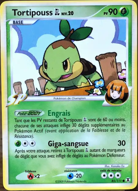 Tortipouss Gym Leader 85/111 Platine rivaux émergeants carte Pokémon