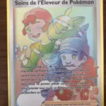 Soins de l'Éleveur de Pokémon 195/189 Ténèbres Embrasées EB03 carte Pokémon